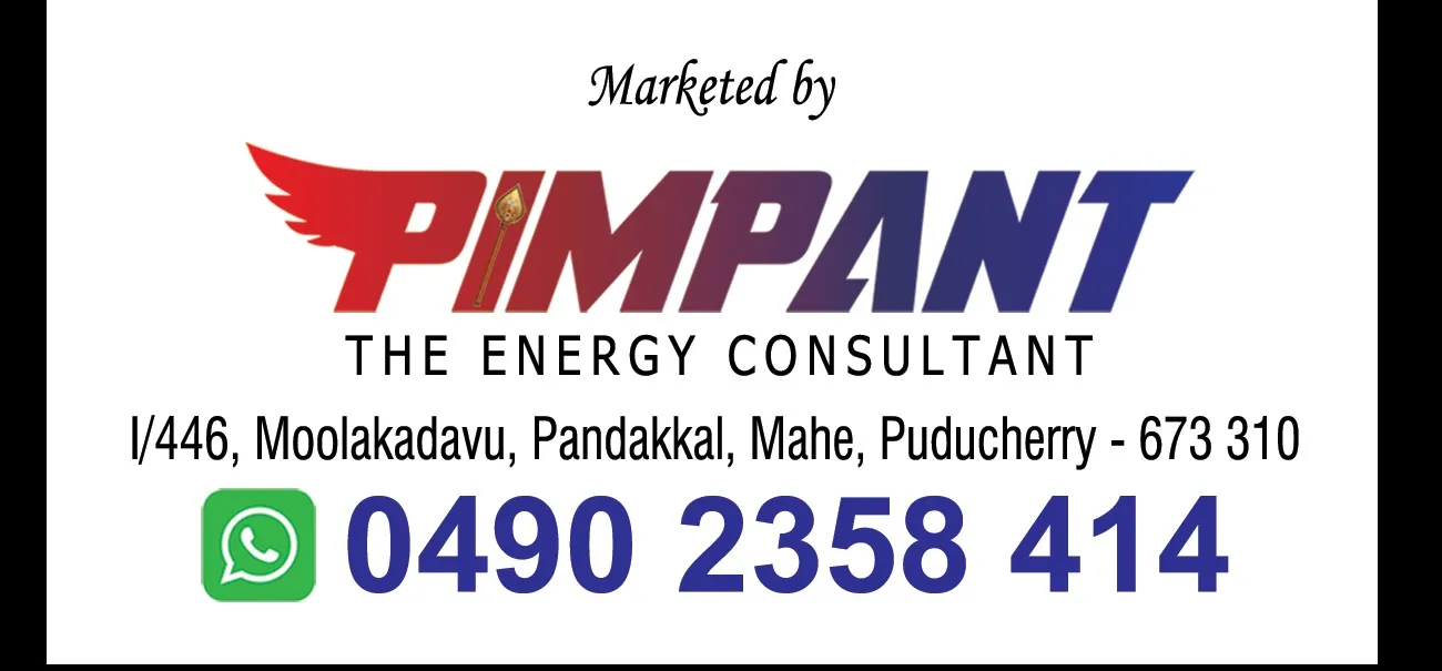 Freelance Digital Marketing Specialist in Abu Dhabi | Pimpant